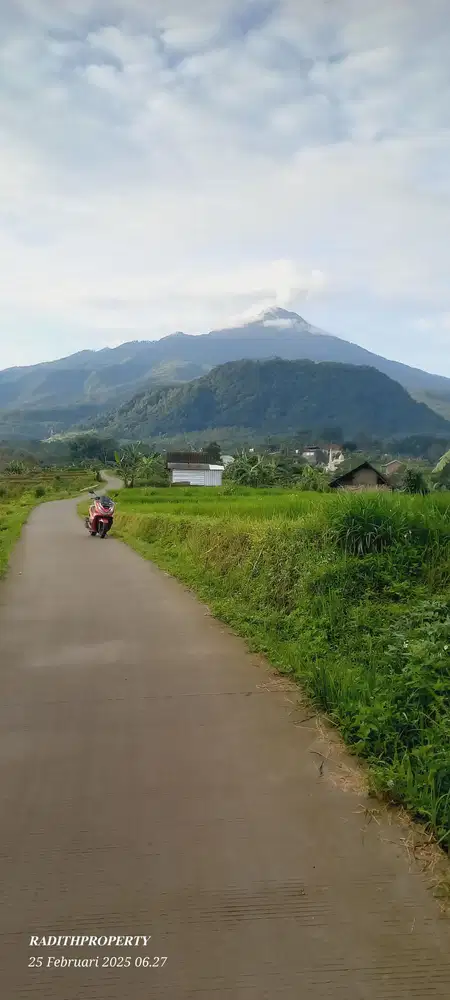 DI JUAL TANAH AREA WISATA TRAWAS VIEW GUNUNG AREA GATHEN HUTTE CAFFE