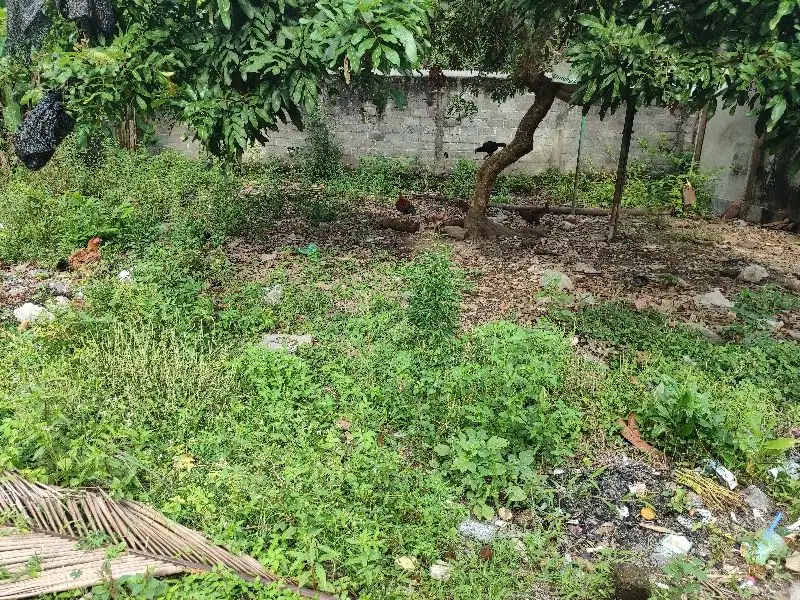 Dijual Tanah Selatan UMY cocok Buat Hunian dan Kos-kosan