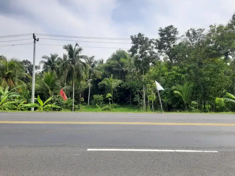 dijual tanah murah,lokasi pinggir jalan jogja-wates.