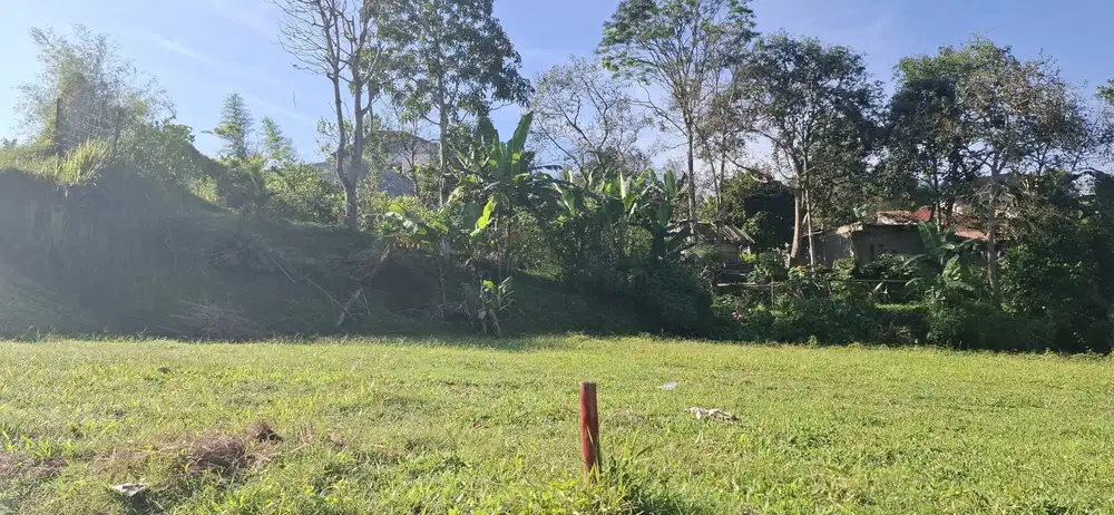 Jual Tanah Luas 553m2 Megamendung Puncak Bogor