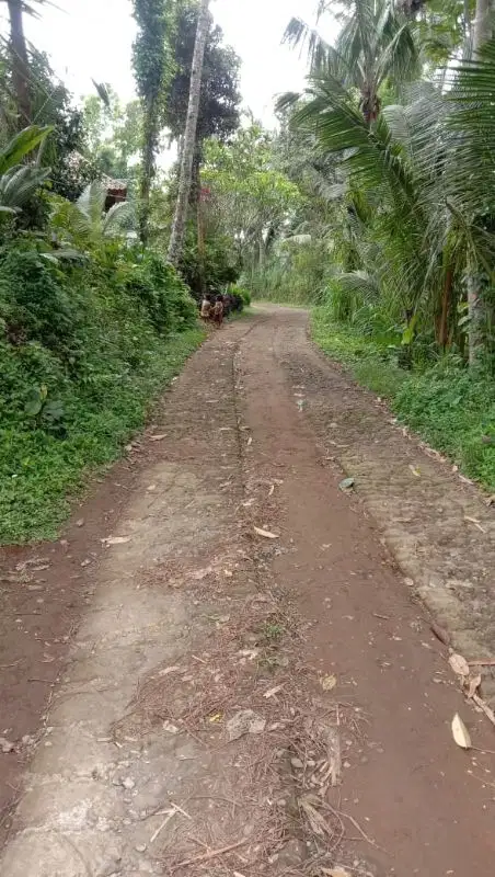 tanah kavliang siap bangun, tampaksiring Gianyar Bali