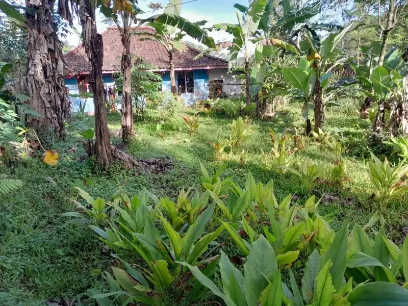 Dijual lahan pinggir jalan 350 meter