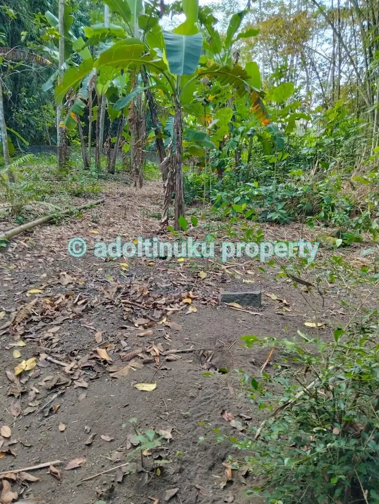 Tanah murah akses mobil di mertoyudan magelang