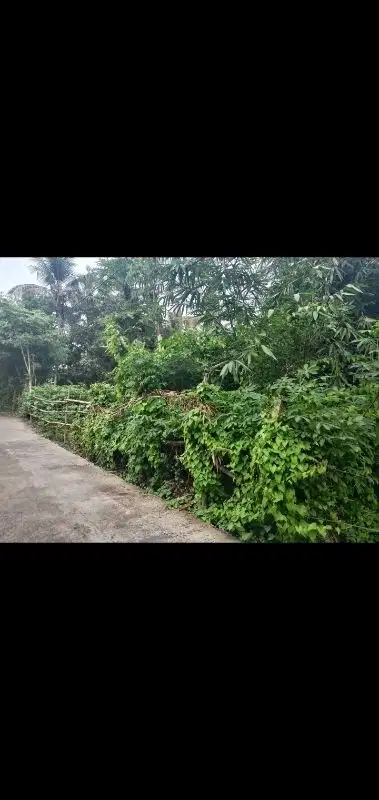 tanah pingir jalan, cocok rumah, kost, villa