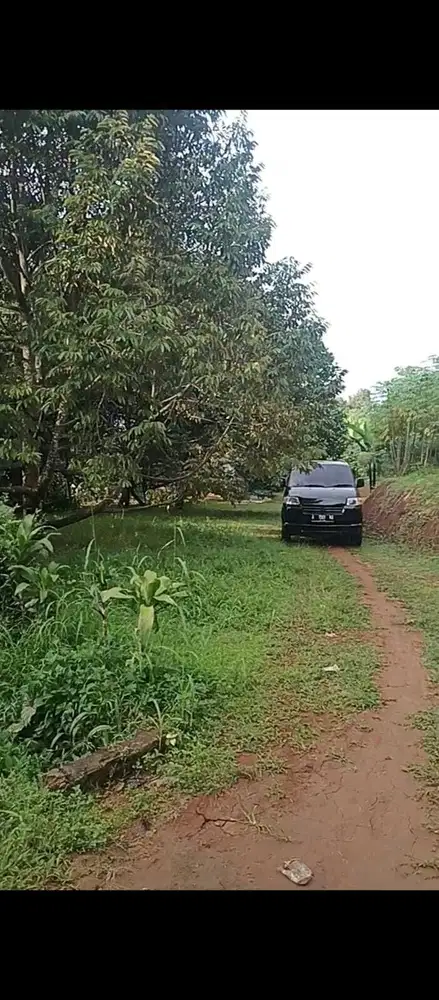 Jual tanah kebun durian