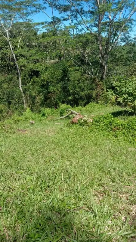 tanah siap bangun Gianyar Bali