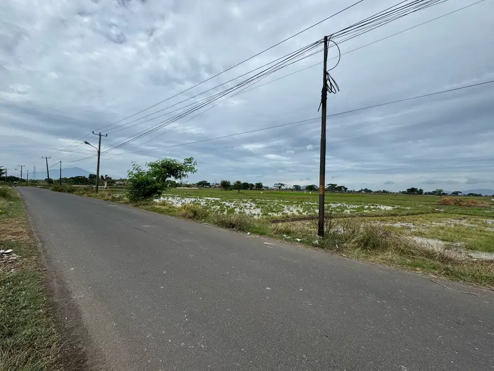 Tanah Sawah Kilasah Serang Banten 6463m2 Sawah Luhur Lokasi Bagus