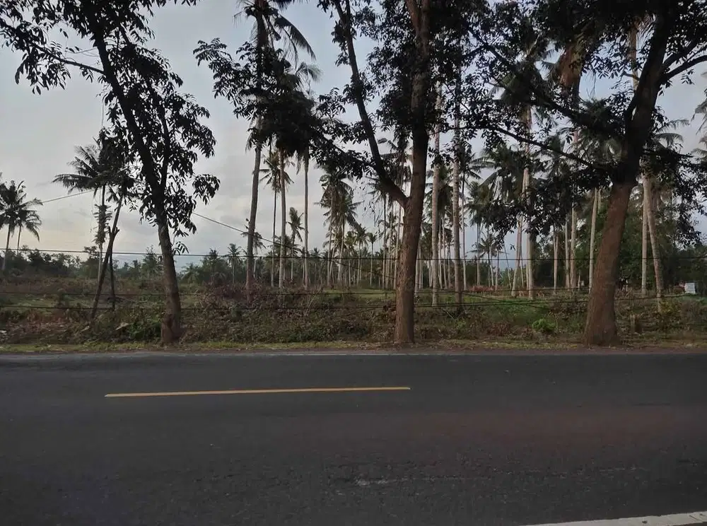 TANAH PINGGIR JALAN PROVINSI DENPASAR GILIMANUK ZONA INDUSTRI