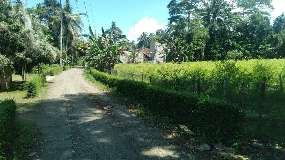 Dijual Tanah 1,1 hektar Sayap Jalan Daendels Ketawang Grabag Purworejo