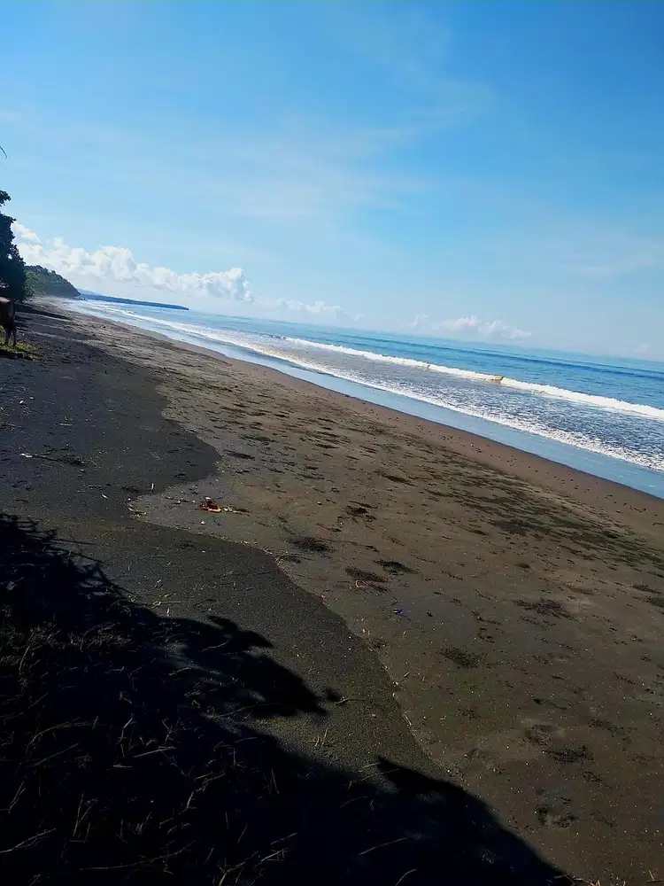 TANAH 1.2 HEKTAR LOS PANTAI PREMIUM DI MELAYA JEMBRANA