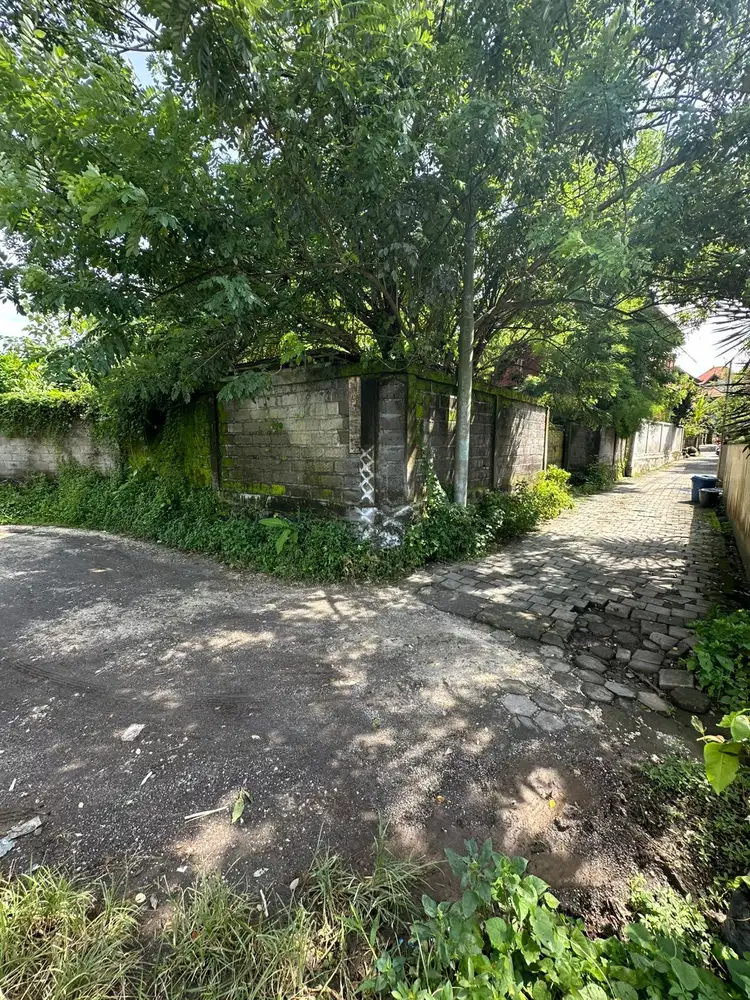 Di Jual Murah Tanah Bonus Bangunan Lokasi Dekat Ubud Jl. Andong, Ubud