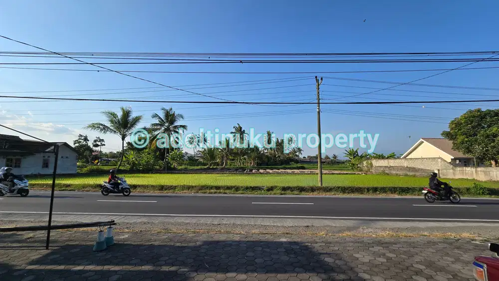 Tanah tepi jalan provinsi, lebar muka 50 m, dekat borobudur magelang