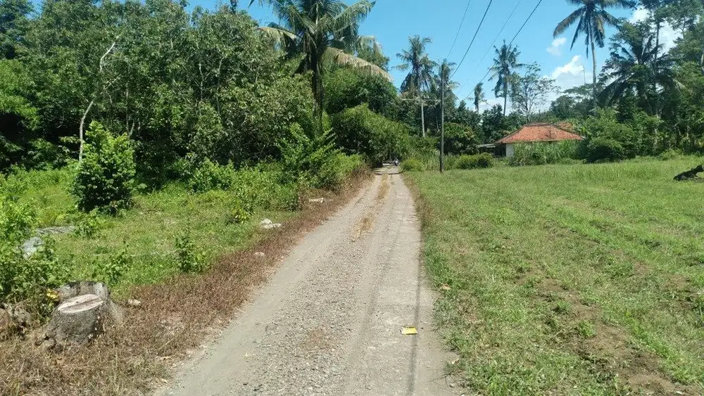 Dijual Tanah 1,7 hektar Sayap Jln Daendels Ketawang Grabag Purworejo