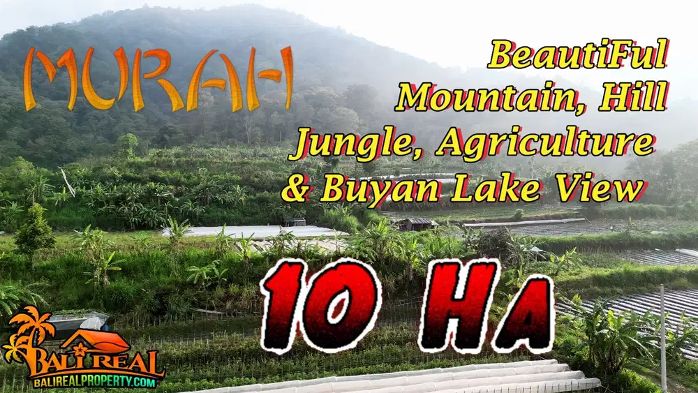 100,000 m2 with Beautiful Buyan Lake View in Baturiti