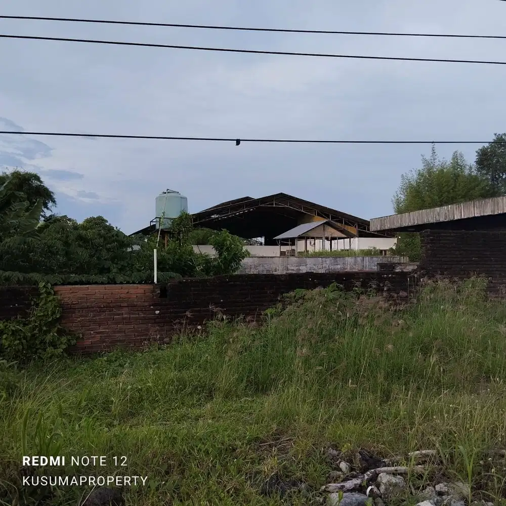 Tanah Strategis Tepi Ringroad Utara Luas 2,1 Hektar