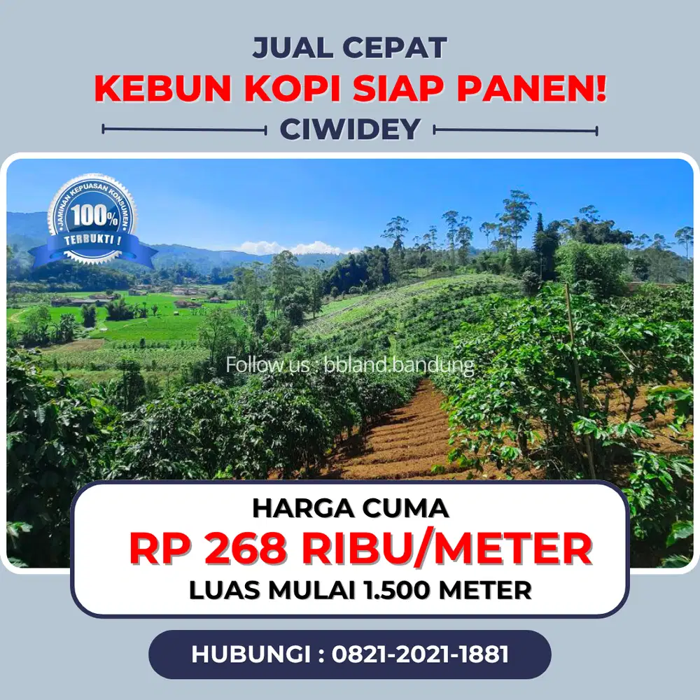 Jual kebun kopi murah di ciwidey