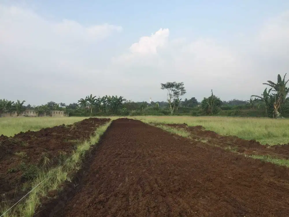 Dijual Kavling Vila Murah Pamijahan Bogor SHM Khusus Muslim