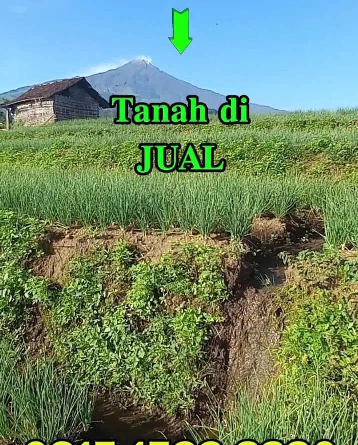 DI JUAL TANAH AREA WISATA TAMAN GANJARAN TRAWAS
