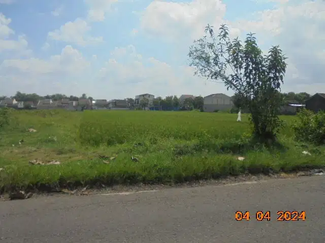 Aset BTN Solo Tanah Sawah di Jati - Karanganyar