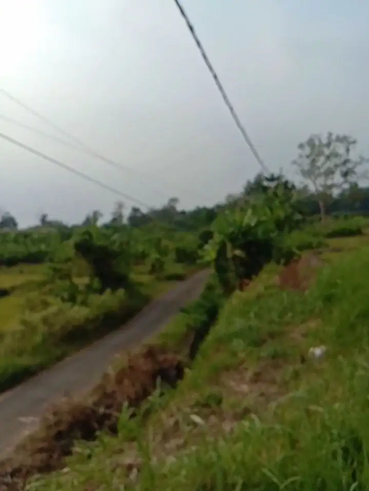 DI JUAL TANAH AREA PERBATASAN TRAWAS BAWAH VIEW GUNUNG