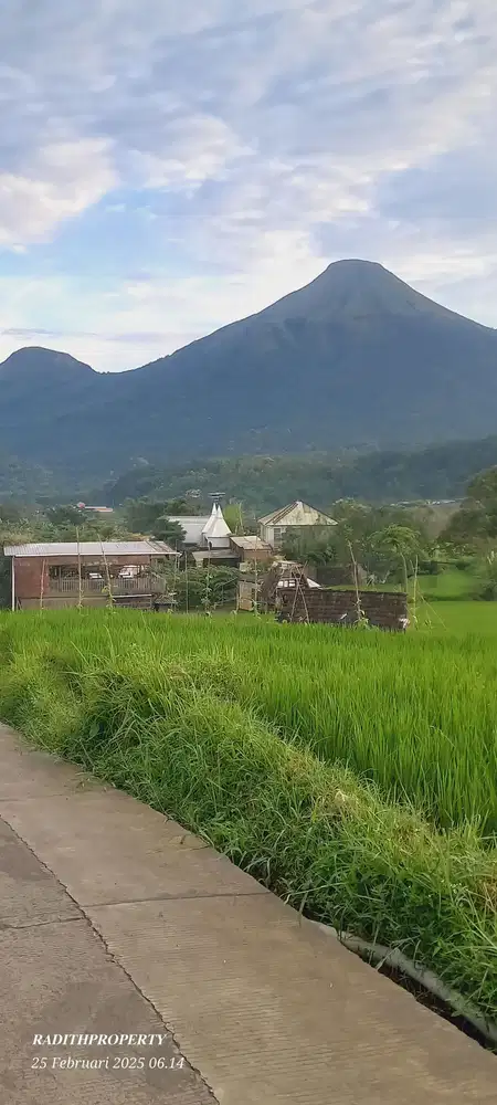 DI JUAL TANAH AREA WISATA GARTHEN HUTTE TRAWWS