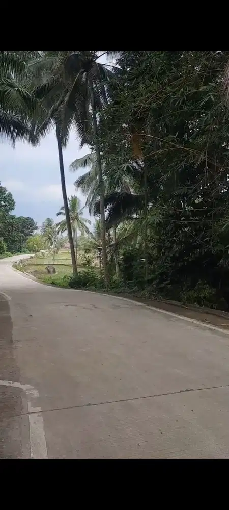 KAVLING DI BANTEN PANDEGLANG