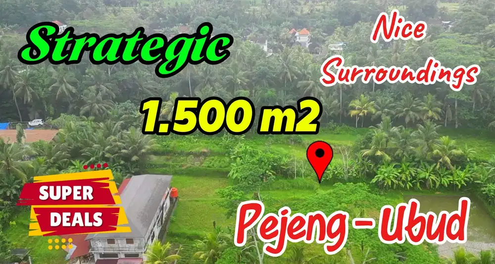 Under Market Price 1,500 sqm Freehold in Ubud Gianyar