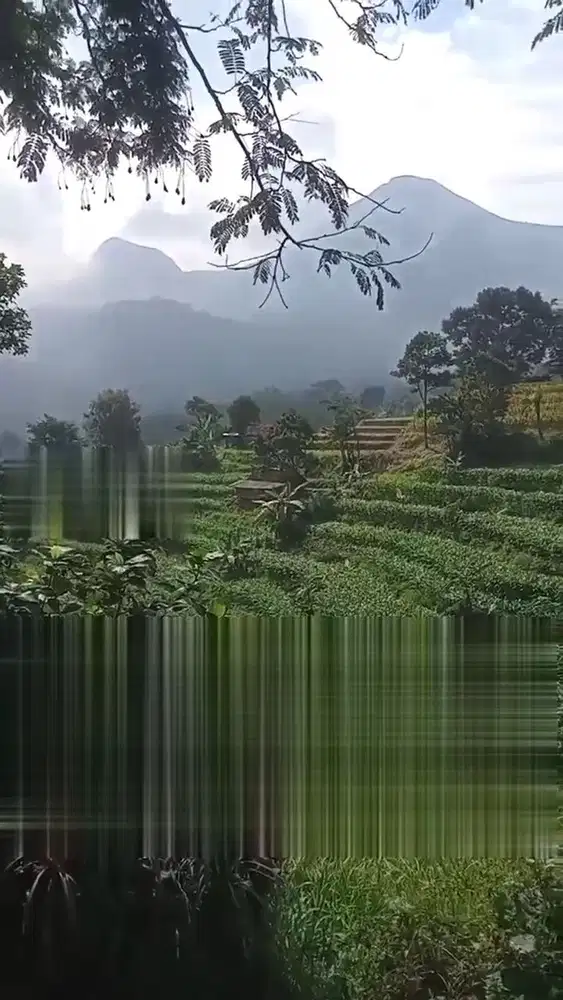 DI JUAL TANAH VIEW GUNUNG PWNANGGUNGAN WISATA TRAWAS