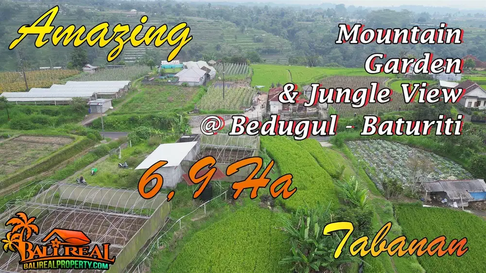 Affordable 69,000 sqm in Baturiti closed to Beratan Lake