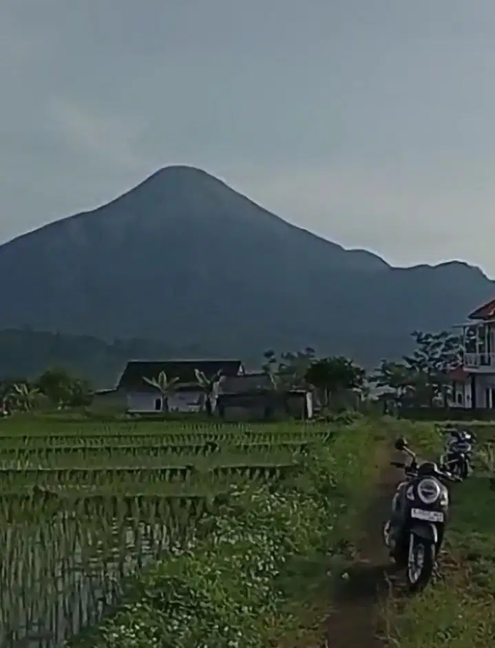 DI JUAL TANAH KAWASAN TAMAN GANJARAN TRAWAS