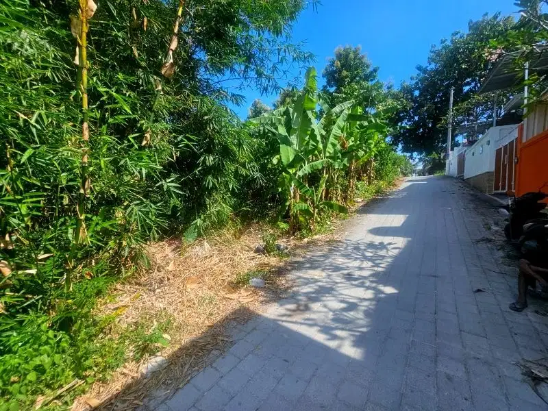 tanah di munggu dekat tumbak bayuh, tanah villa