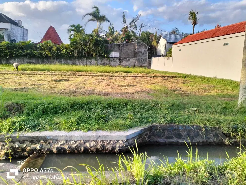 Tanah pantai nyanyi murah, tanah villa canggu