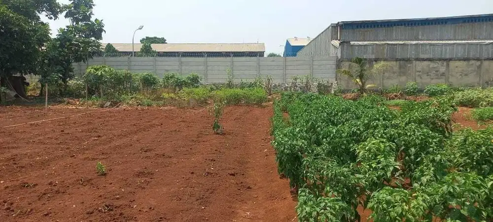 Tanah Kavling Siap Bangun, Lokasi Strategis 8 menit Tol Gunung Putri