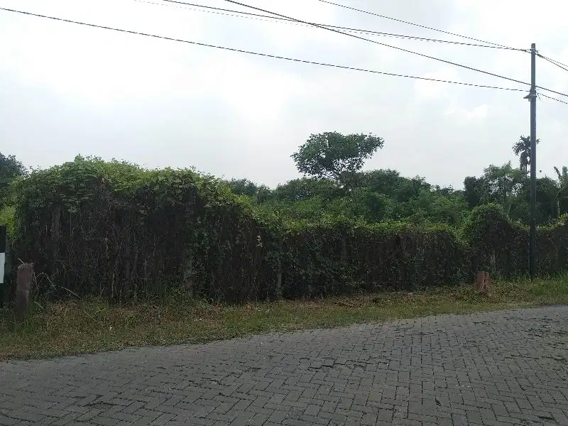 Tanah Raya Taman Wiguna 6 jt an /m