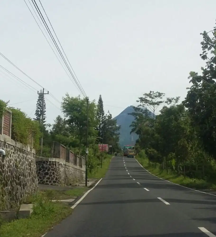 Tanah Perkebunan 2601m2 Berikut Rumah di Kaliurang, Yogyakarta