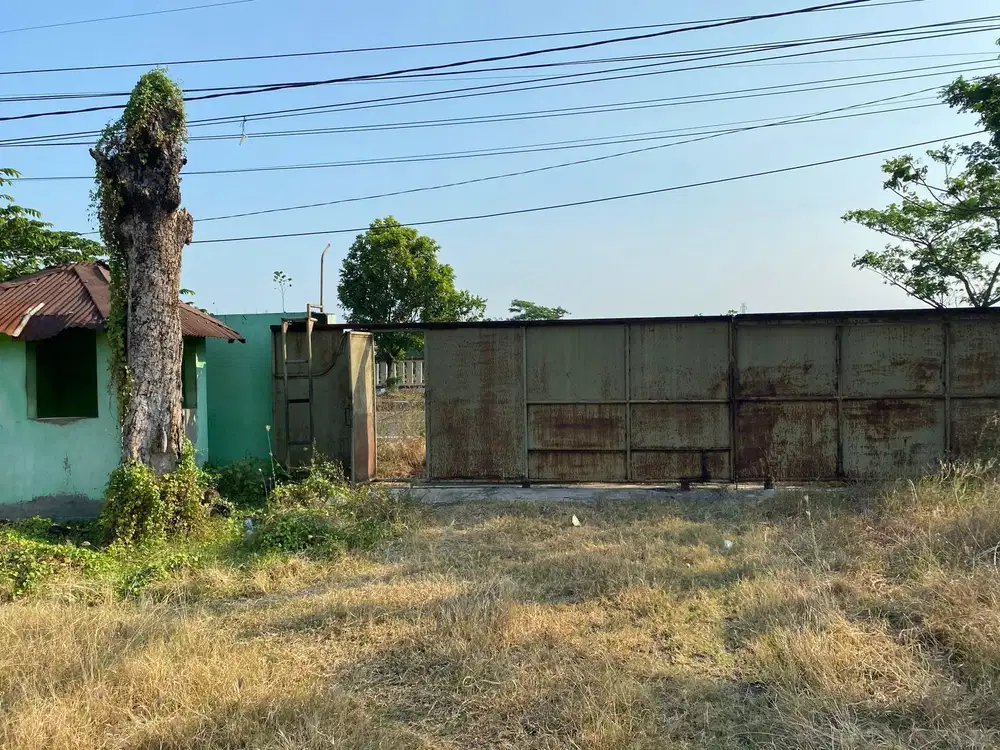 Tanah Strategis Pantura Mundu