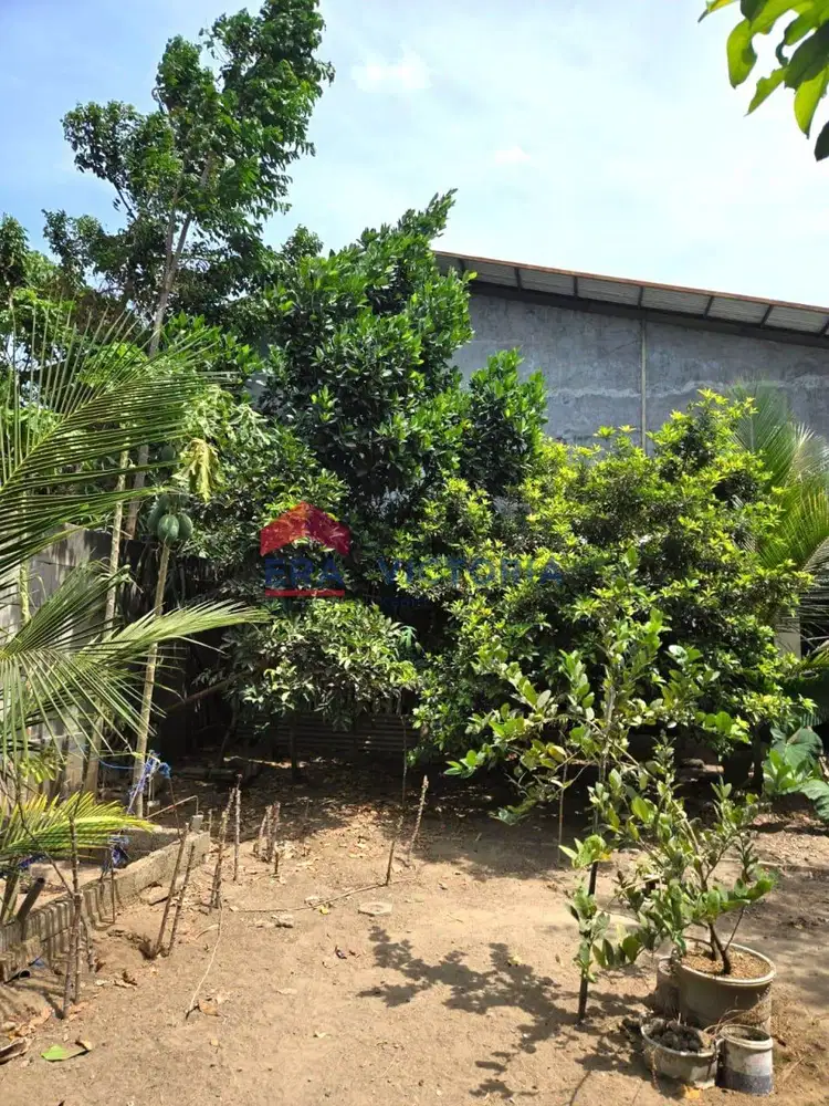 Tanah dijual di area pemukiman penduduk Ketami Pesantren