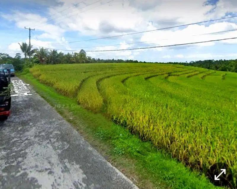tanah view sawah, tanah di tabanan, tanah villa