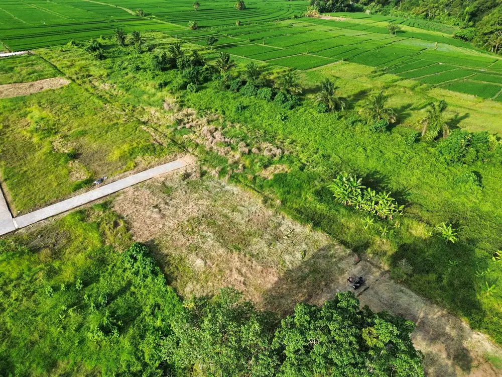 Tanah Kedungu Dekat Nyanyi, Cemagi, dan Seseh – View Sawah & Sunset