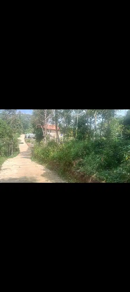 Tanah Kebun 2450 m, Pinggir Jln, Bojong, Purwakarta.