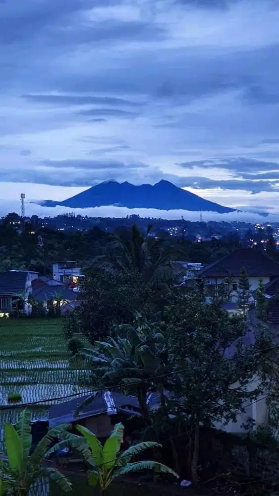 Villa HONEY Megamendung taman safari Cisarua puncak