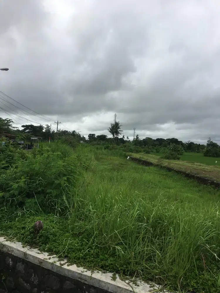 Jarang Ada Tanah di Pinggir Jalan Propinsi Parangtritis Bantul Yogya