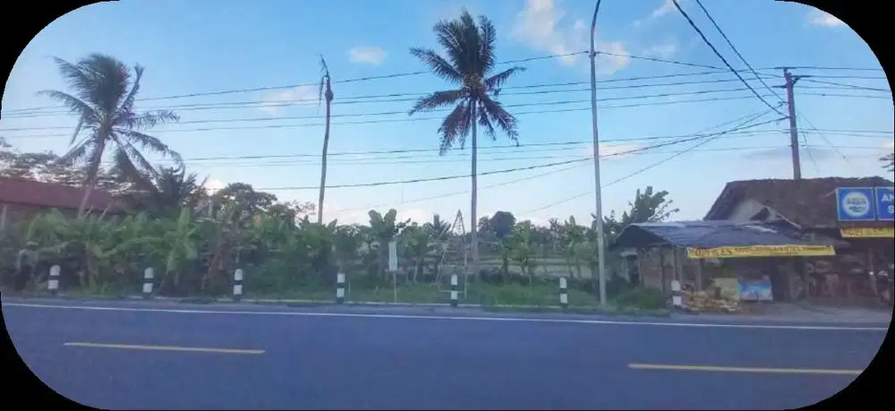 Tanah di jl. Raya  Borobudur cocok untuk restoran dan hotel
