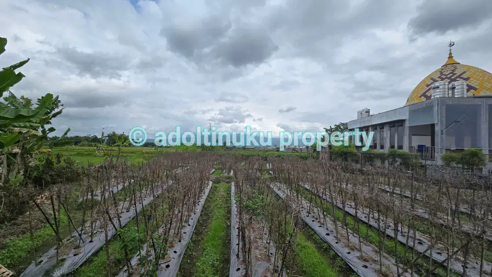 Tanah sawah produktif, strategis di area jalan ke borobudur magelang