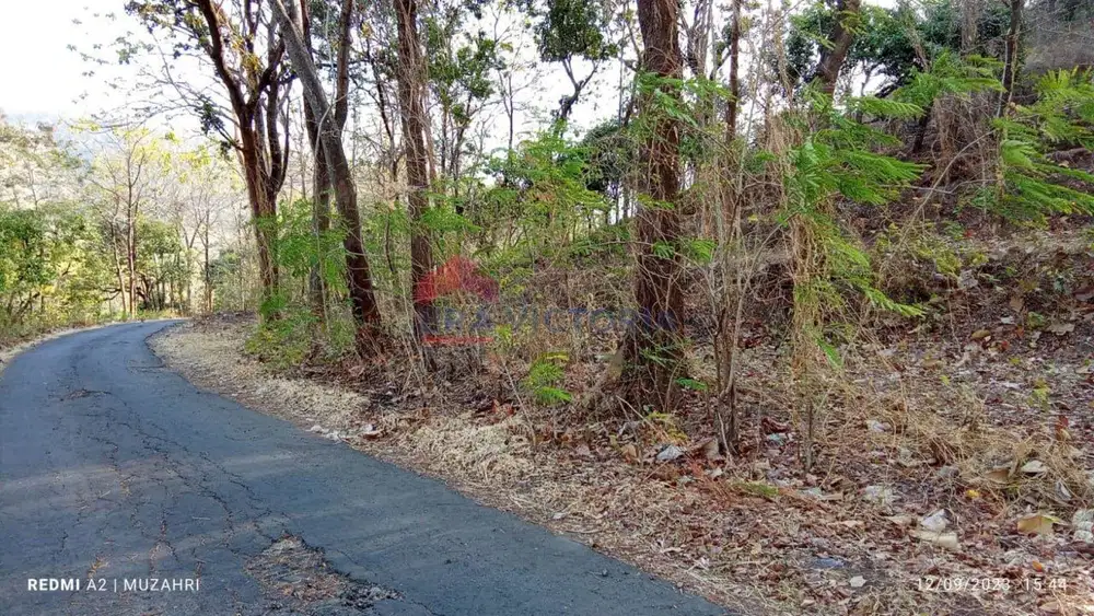 Dijual Tanah LT 5382m² SHM, sangat murah di Manyaran Banyakan Kediri