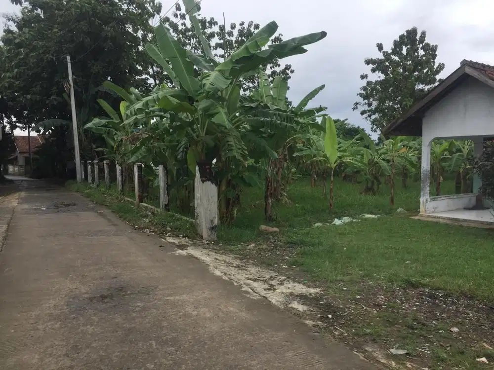 Dijual Tanah Ciampea Bogor SHM Cocok Untuk Rukos dan Investasi