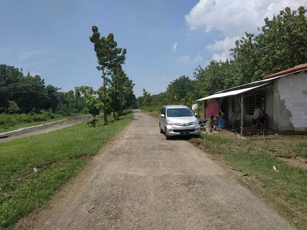 Jual murah tanah kebon jati luas 36 hektar