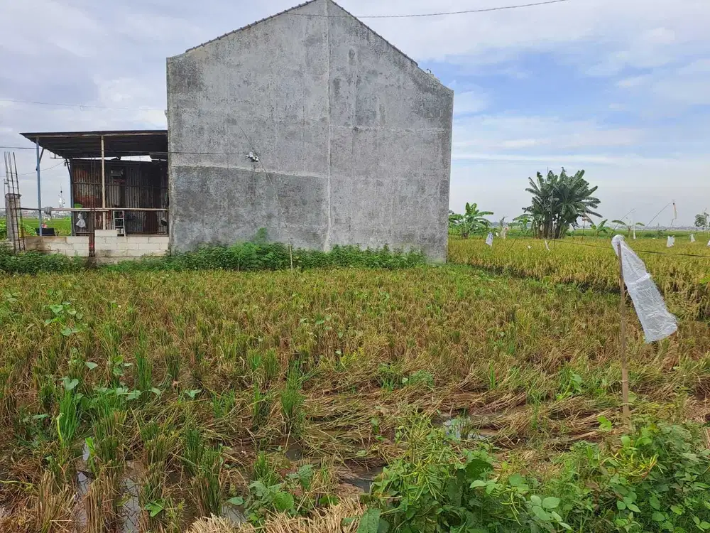 Dijual tanah di telukjambe barat