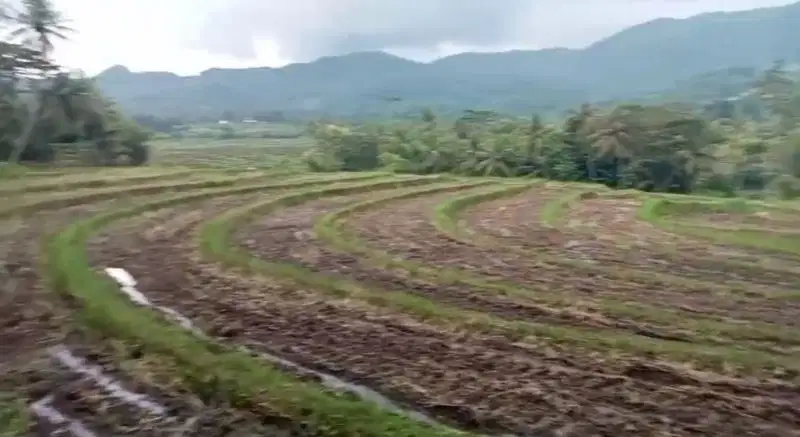 Dijual Tanah View Cantik Di Nanggulan dekat Geblek Pari