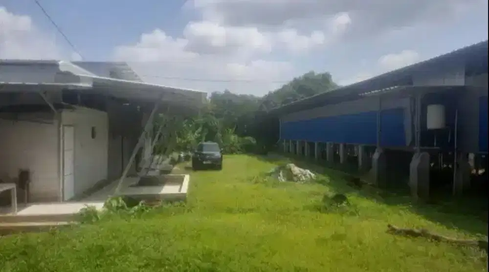 Dijual Kandang ayam petelur Dawuan Subang